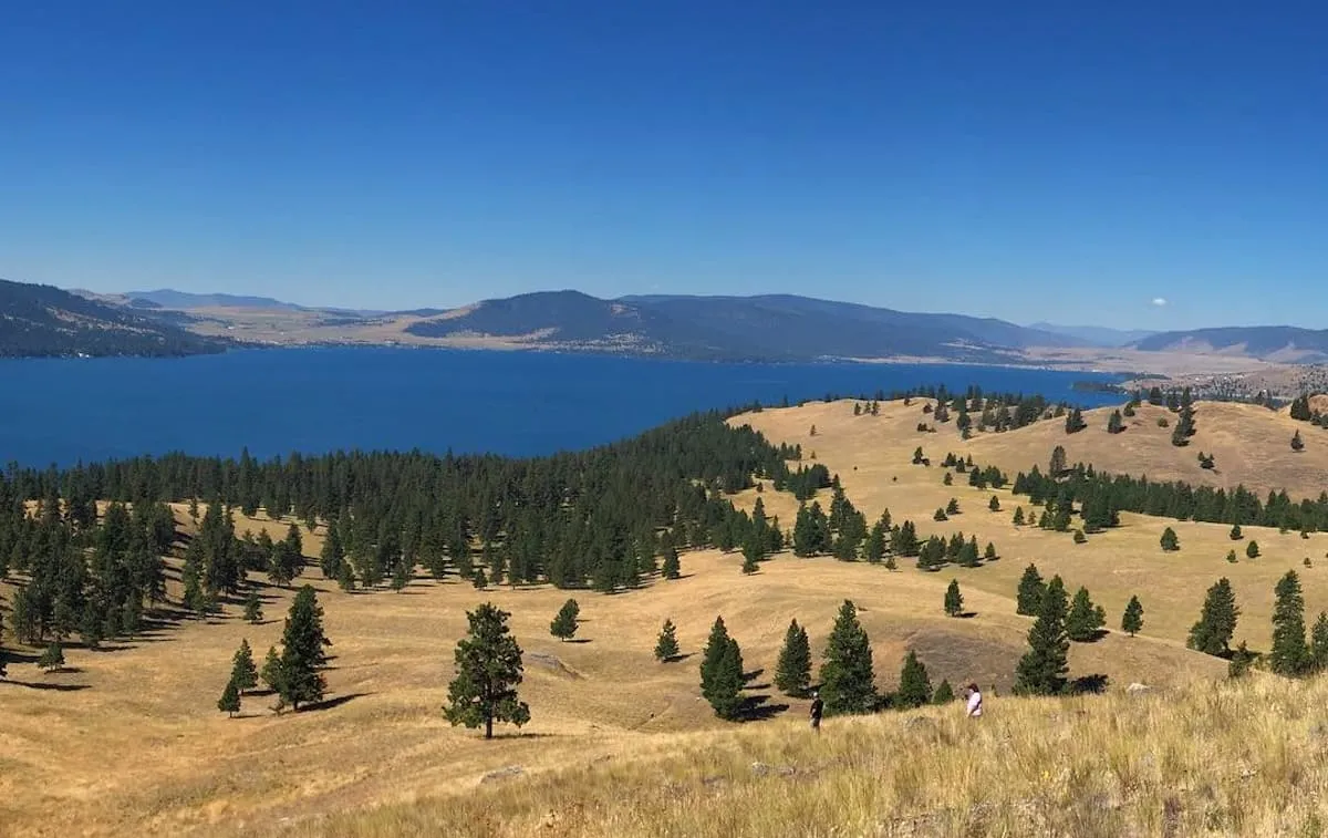 Wild Horse Island in summer