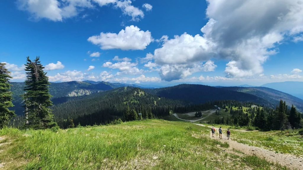 Whitefish Mountain Resort in summer