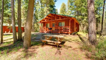 North Forty Resort