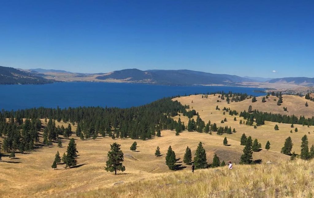 Wild Horse Island in summer
